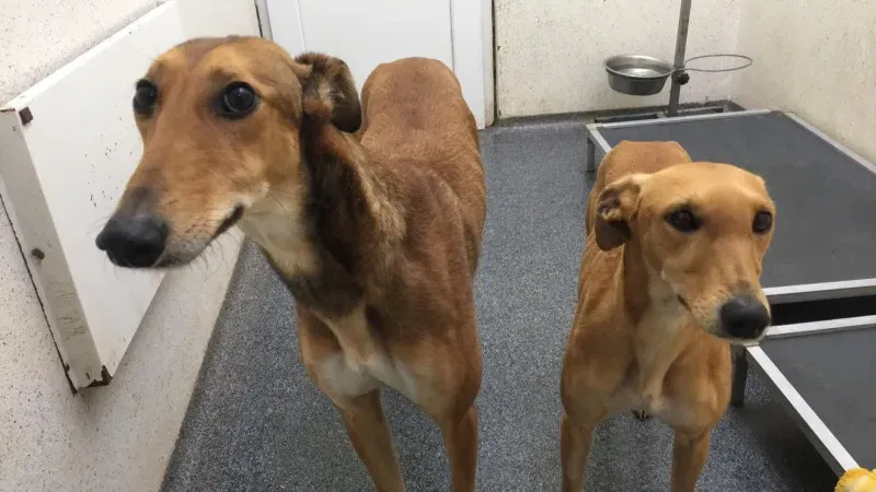 26194418 10154899634620194 2142914564 o