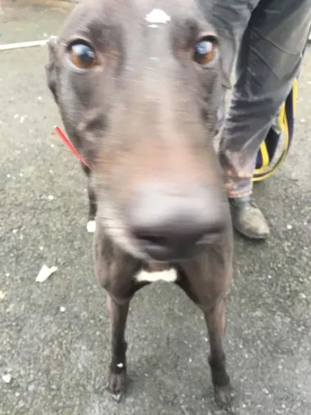 26194683 10154895227940194 28196873 o