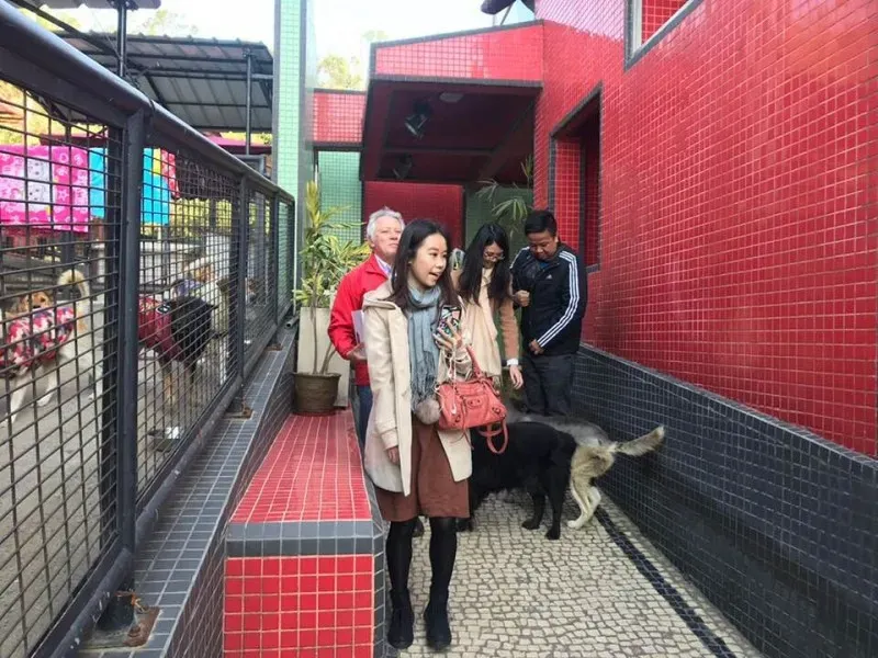 26195656 2025559257733577 852391323186901021 n 1