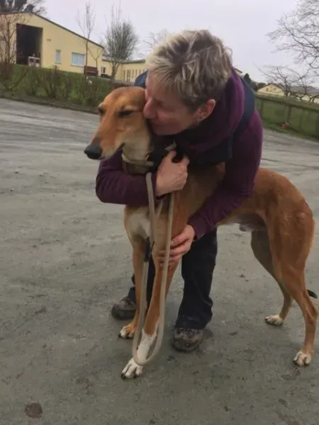 26196932 10154899595260194 467068721 n