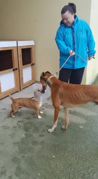 26197473 1517466438337279 2007071961 n