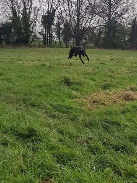 26197491 10213511145386583 990291069 n