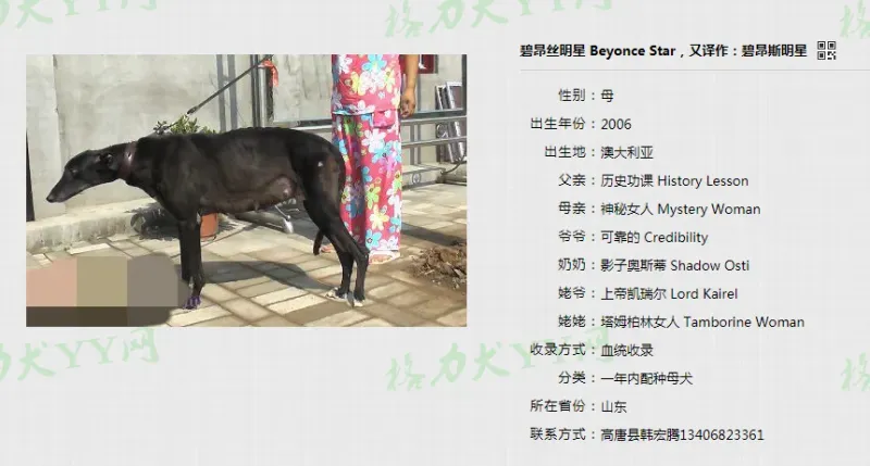 26229382 1637073973067398 7047917249155273503 n 1