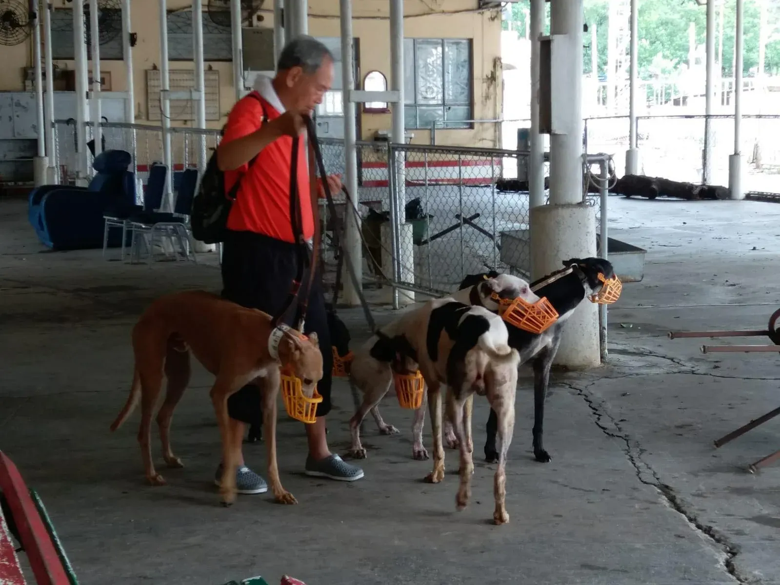 26229382 1637073973067398 7047917249155273503 n 2