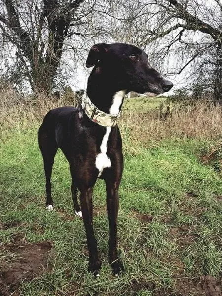 26234137 10213511148546662 661541863 n