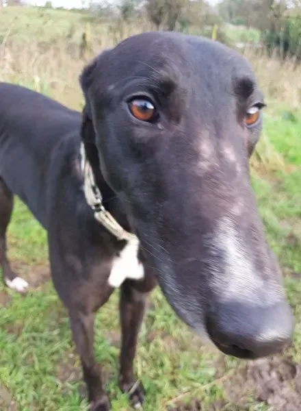 26234152 10213511149026674 1881722798 n