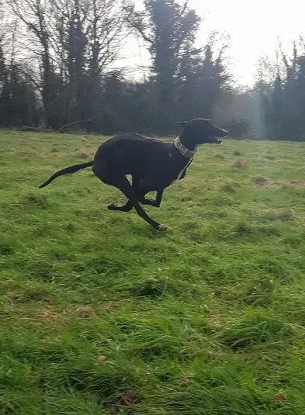 26234973 10213511142946522 253327065 n