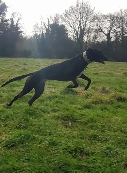 26241210 10213511142506511 1693717813 n