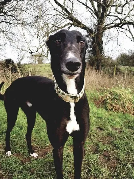 26241314 10213511148586663 1259847737 n