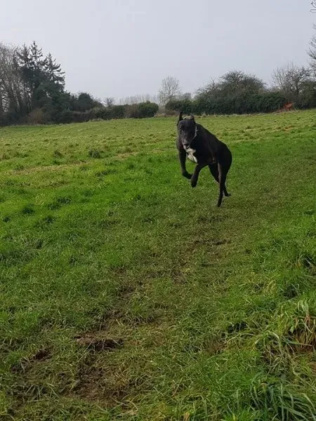 26241441 10213511146706616 1437962411 n