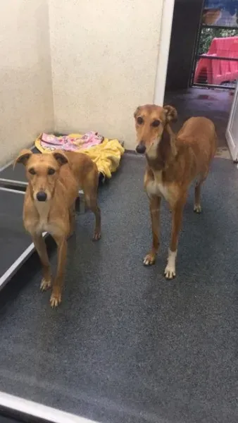 26241553 10154899635490194 74110934 n