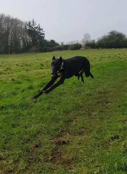 26551688 10213511146106601 894299436 n