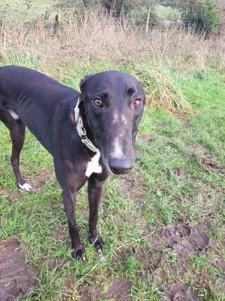 26553206 10213511149106676 54647037 n