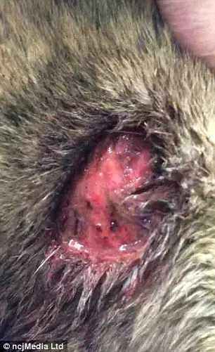 265E71C800000578 0 image m 14 1425634554109