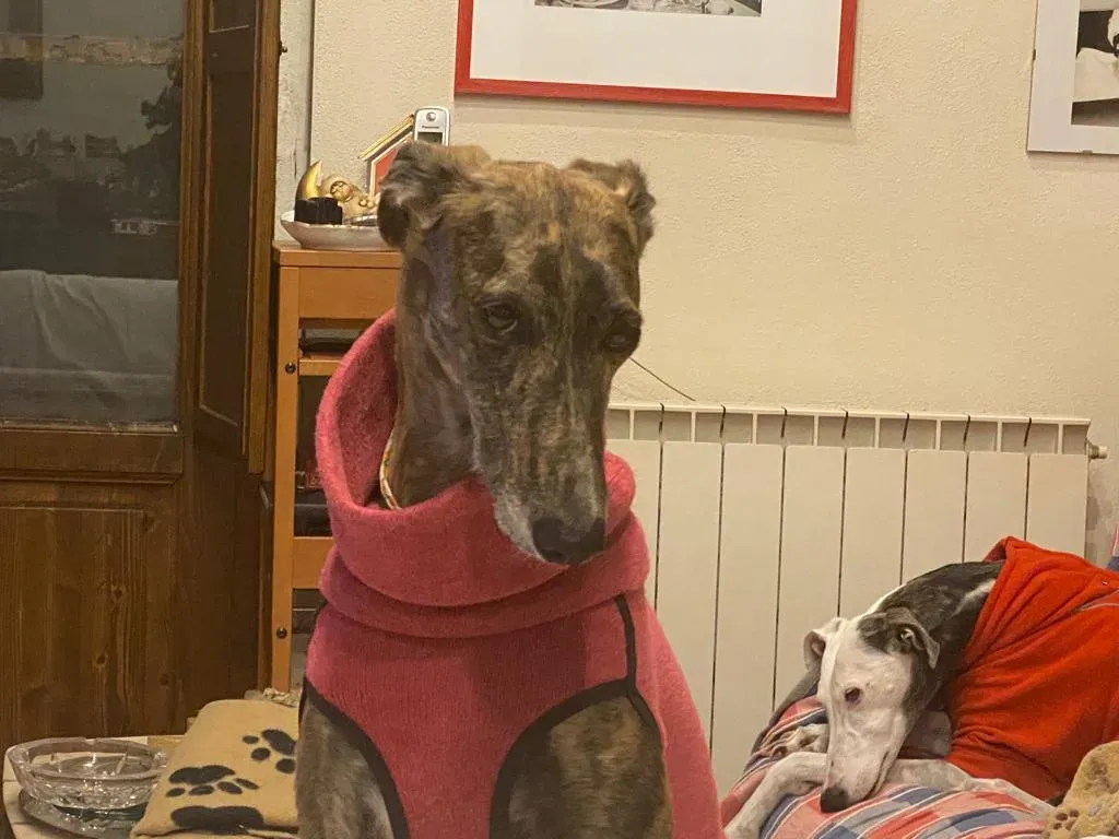 2662c0b6 6e8c 40d8 adf7 7d266b103a5a