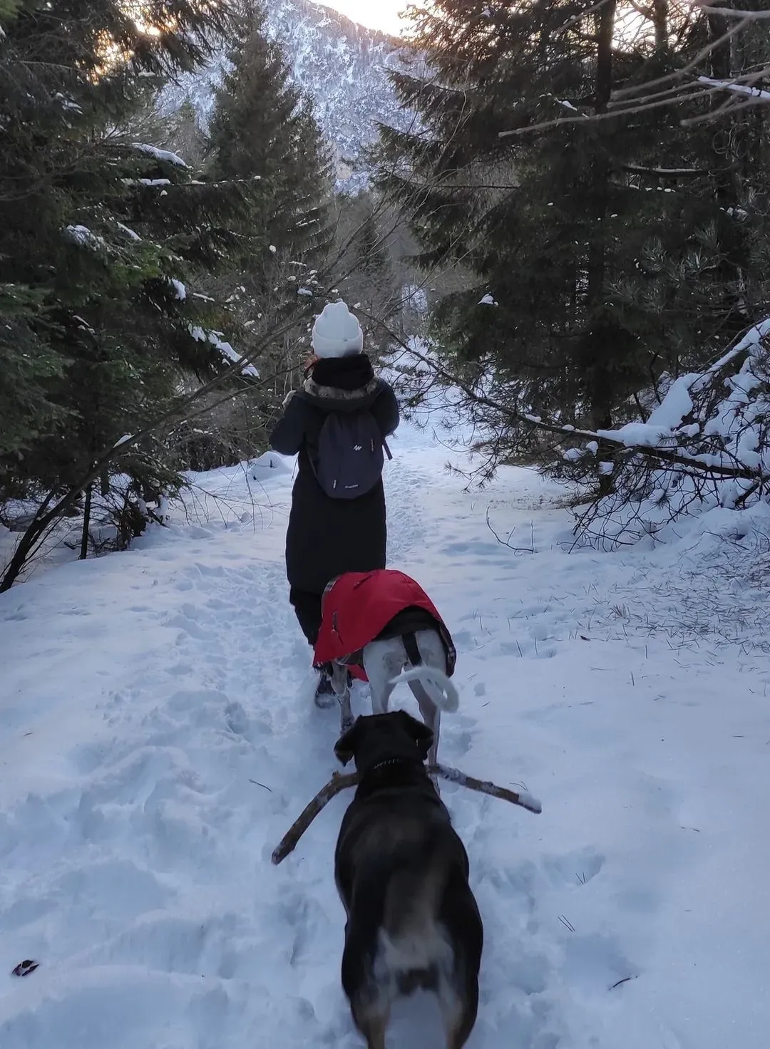 267023557 2841117216186179 2063351003138115056 n