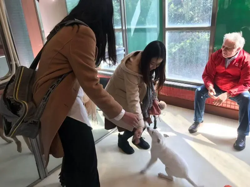 26730789 10156171597001995 2464869958806388748 n 1