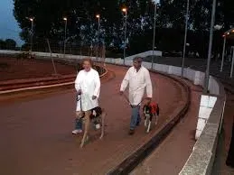 26731270 10155603999137182 7366421160944720377 n