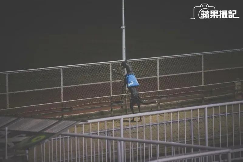 26734163 10156187397096995 8097419820631407204 n 1