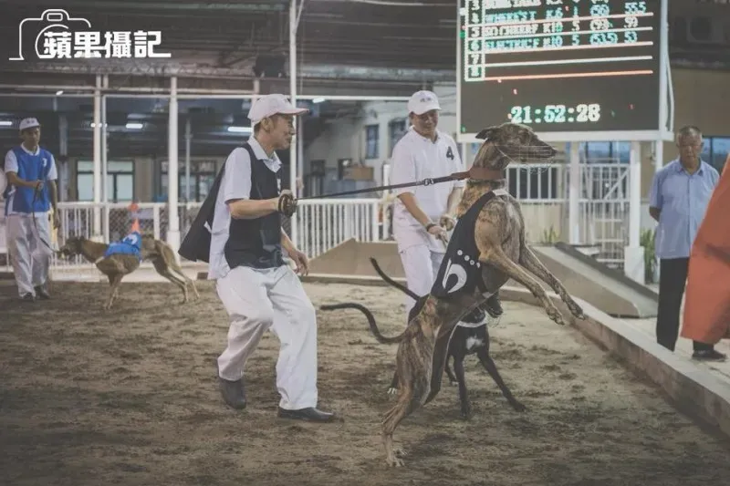 26734379 10156187397196995 7481394352377705451 n