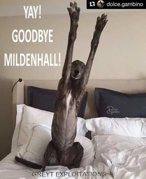 26815219 1607439779309181 6993464190182826224 n