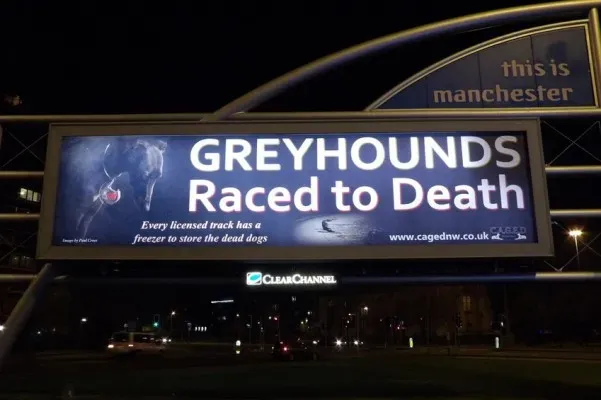 2684631 1417651465.08661