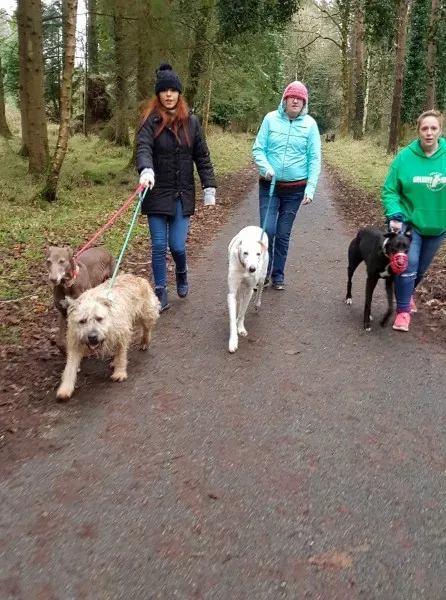 26855176 10213603197567830 1640324405 o