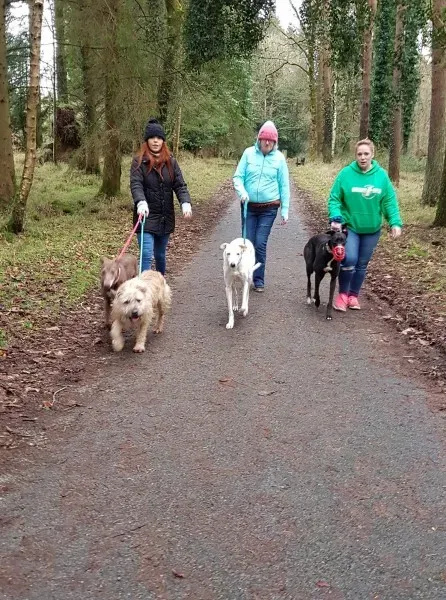 26855301 10213603197087818 318306570 o