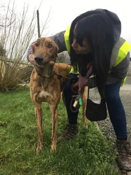 26856910 1635275356564061 1949217037 n 1