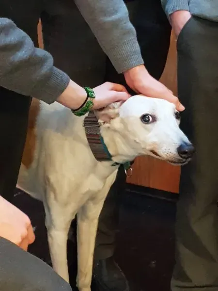 26904199 10156123059006255 7071472034132368986 n