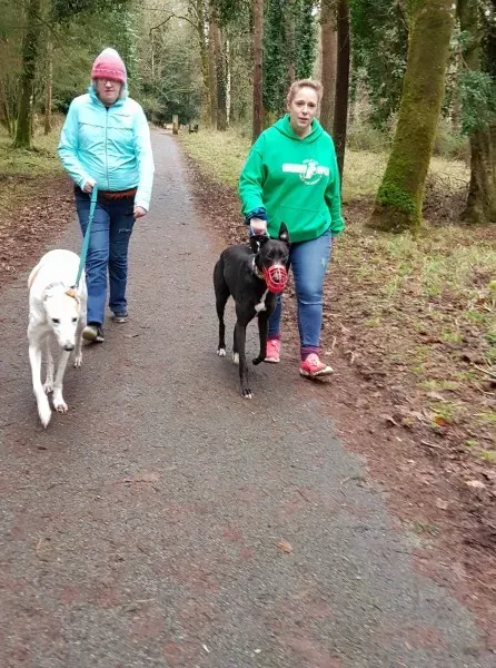 26905668 10213603197407826 779583681 o 1