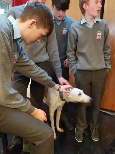 26907136 10156123058616255 947390002843692113 n