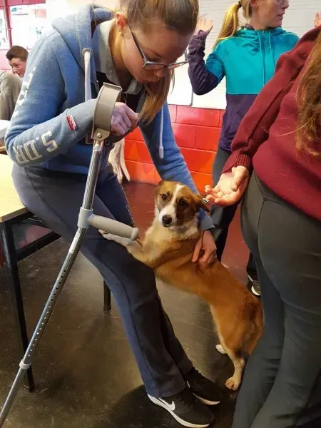 26907677 10156123059341255 4665890768400742367 n