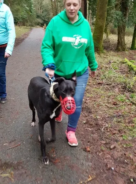 26909194 10213603197447827 1474264035 o 1