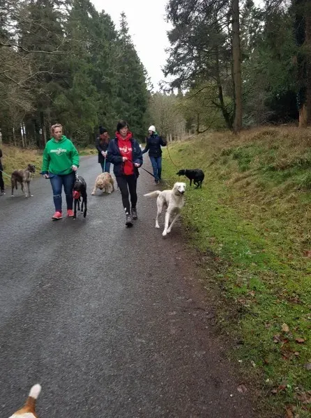 26909378 10213603197367825 2124841370 o