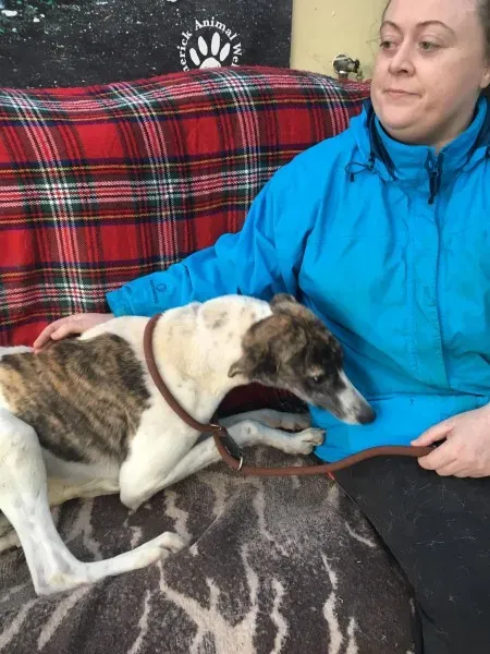 26909747 10154955933000194 465883034 o