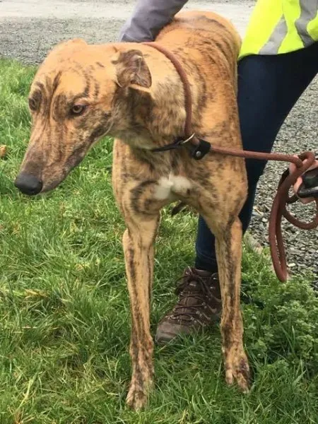 26913832 1635275316564065 1963621064 n 1