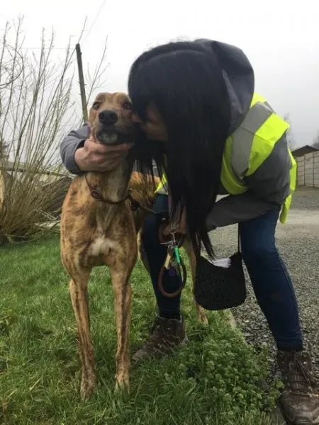 26914134 1635275353230728 2062597394 n 1