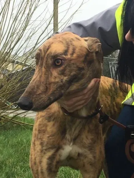 26940322 1635275563230707 1247301876 n 1