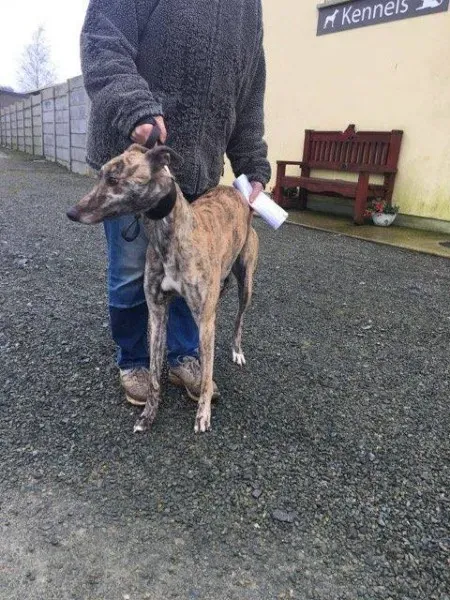 26940355 1635293256562271 366511120 n