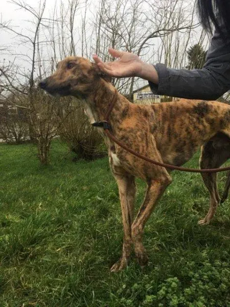 26940371 1635275579897372 179208897 n 1