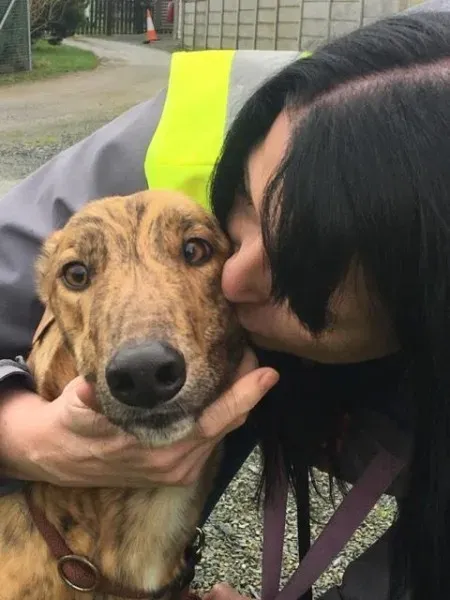 26940484 1635275319897398 672745542 n 1