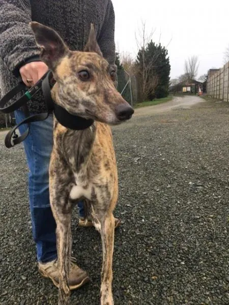 26940846 1635293299895600 1201905127 n