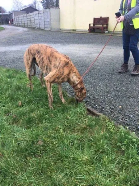 26941049 1635275573230706 1368721620 n 1