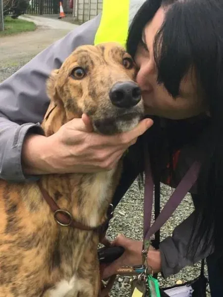 26941073 1635275323230731 1044920785 n 1