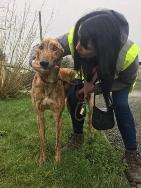 26941187 1635275539897376 2081167593 n