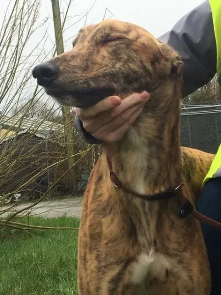 26942723 1635275363230727 374818317 n 1