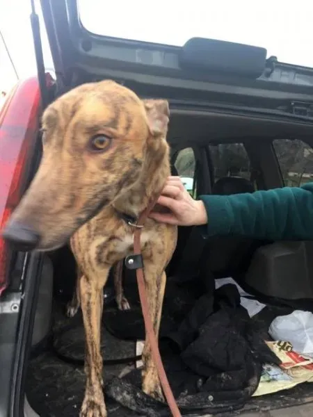 26942885 1635275293230734 861747368 n 1