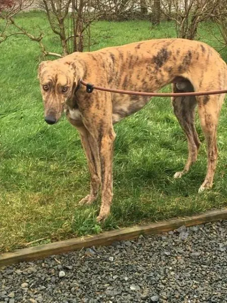 26943285 1635275546564042 516751796 n 1