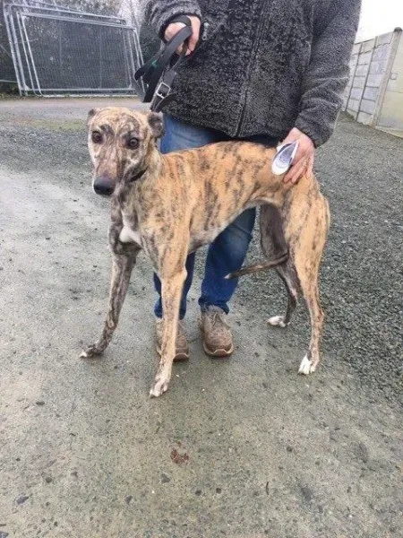 26943453 1635293293228934 653251632 n